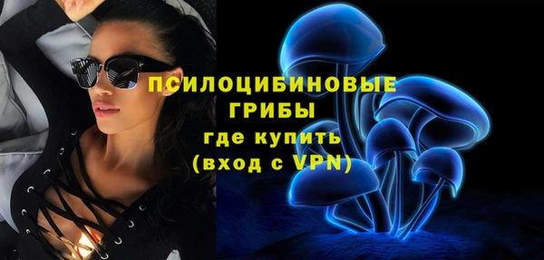 дмт Аркадак
