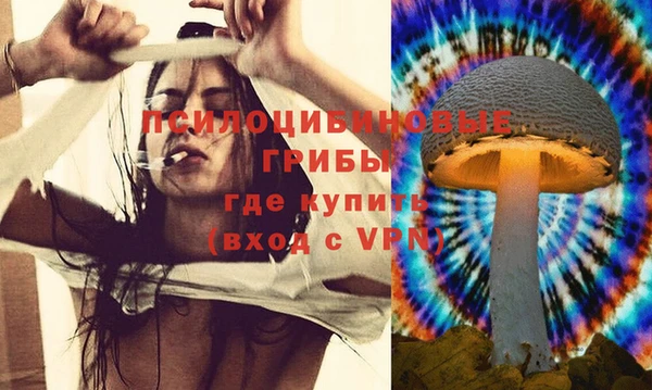 дмт Аркадак
