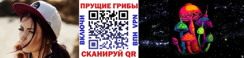 Псилоцибиновые грибы мицелий  продажа наркотиков  Сысерть 